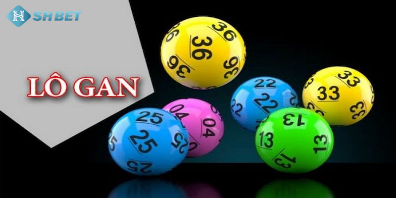 Banner www.quoctenhatrang.vn