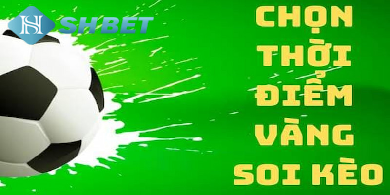 Banner www.quoctenhatrang.vn