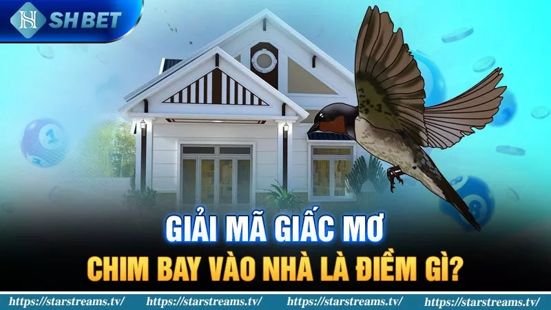 Banner www.quoctenhatrang.vn