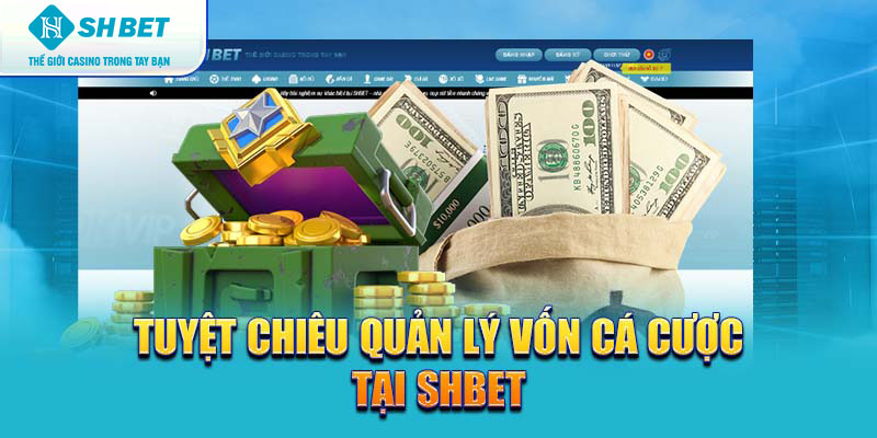 Banner www.quoctenhatrang.vn