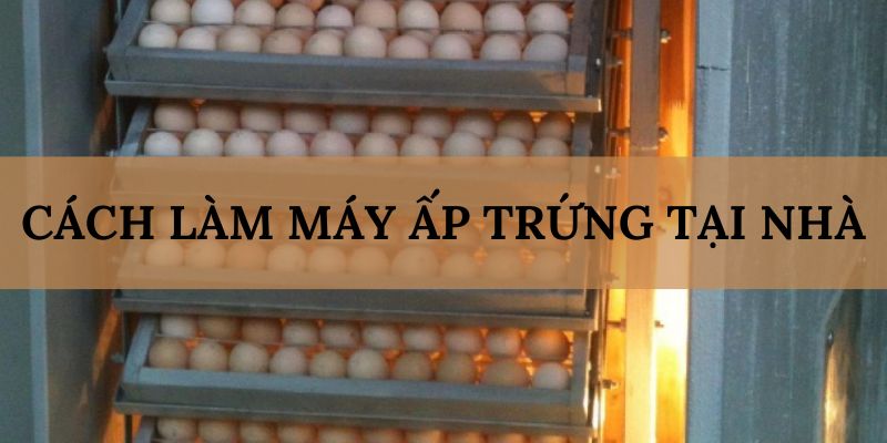 Banner www.quoctenhatrang.vn