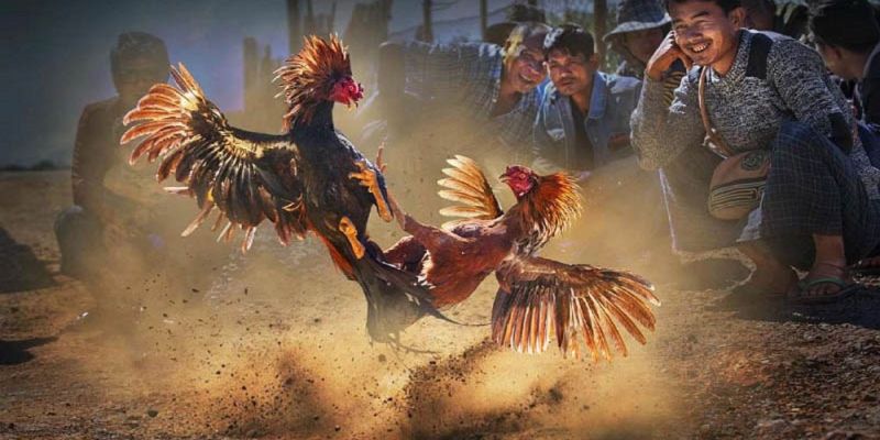 Banner www.quoctenhatrang.vn